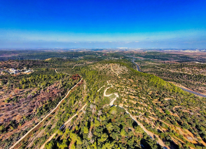 טיול GS: כביש שטח ויער הקדושים